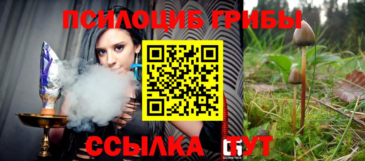 Галлюциногенные грибы Psilocybine cubensis Учалы