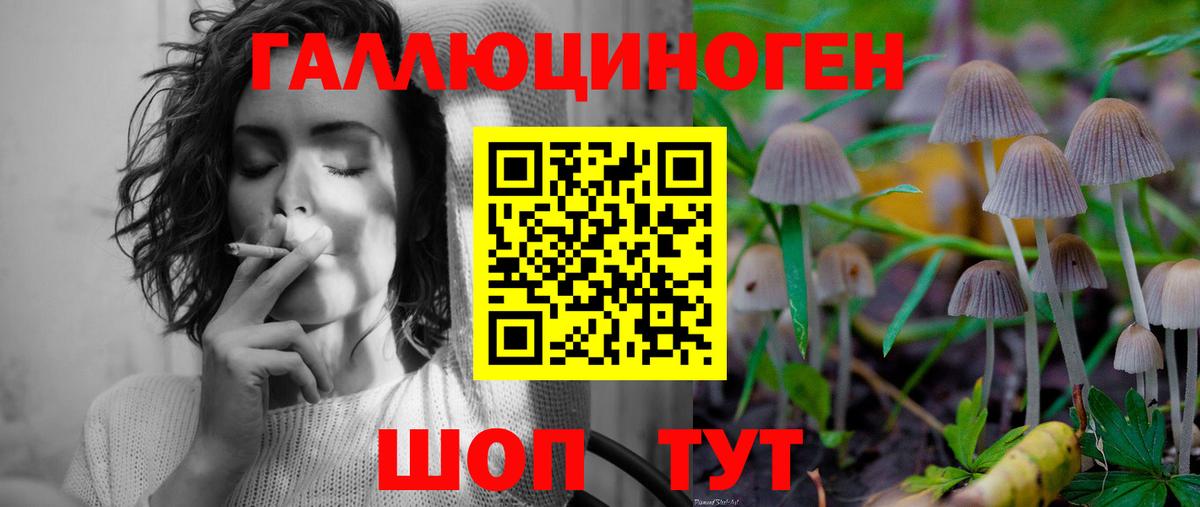 Галлюциногенные грибы Magic Shrooms  Вход с VPN  Учалы  Псилоцибиновые грибы прущие грибы 